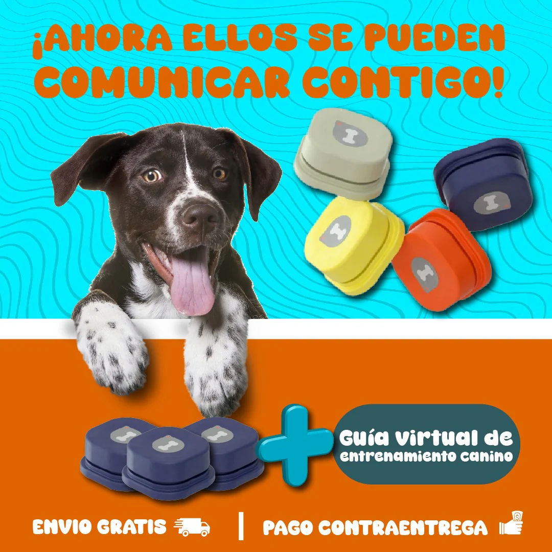 Imagen del producto 2