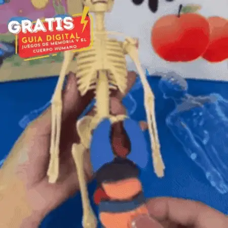 Imagen del producto 1