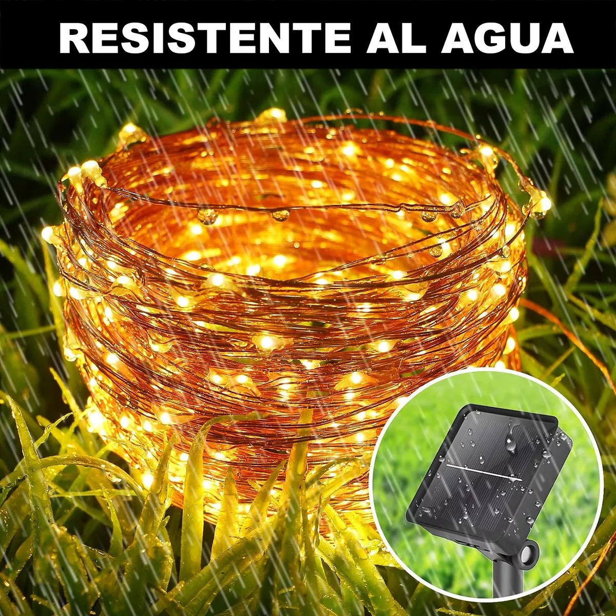 Imagen del producto 12