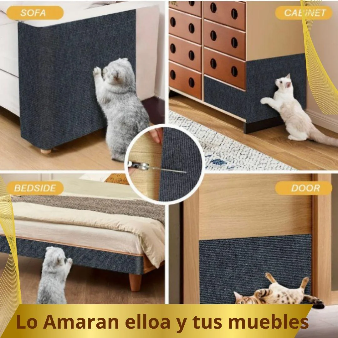 Imagen del producto 2